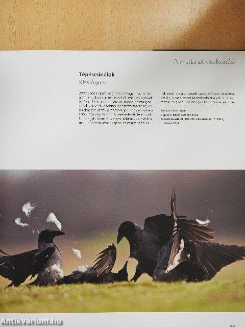 Az év természetfotói Magyarország 2008