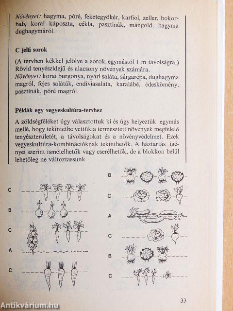 Öngyógyító kiskert