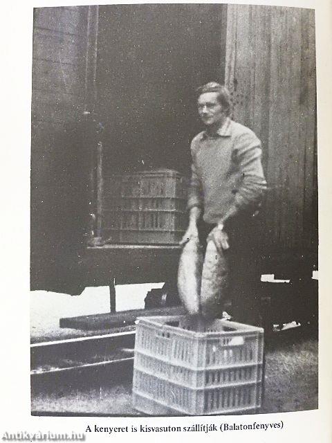 Kisvasutak Magyarországon