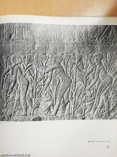 A nő az ókori Egyiptomban