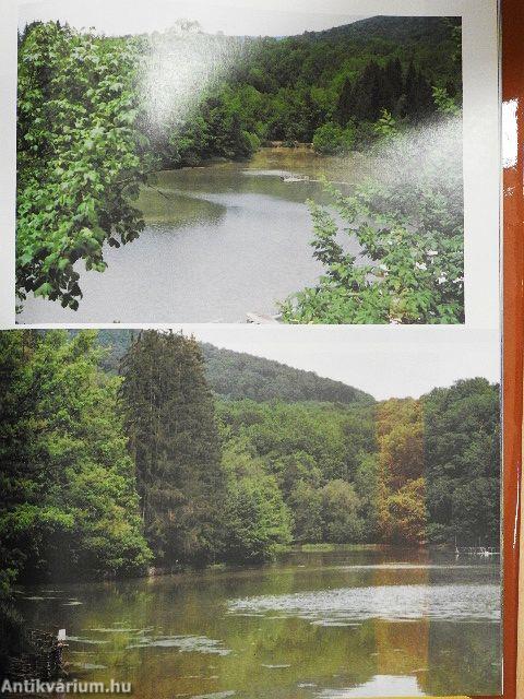 Erdélyi utakon I-III.