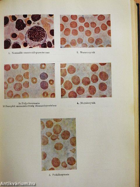 A kórélettan tankönyve