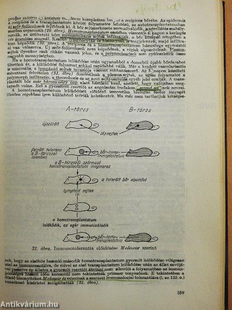 A kórélettan tankönyve