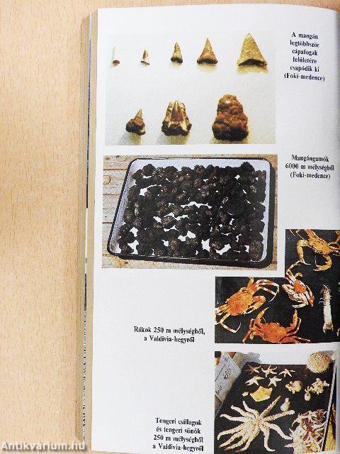 Négy hónap az Óceánon