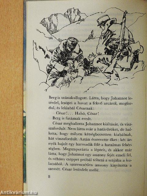 Belle és Sébastien