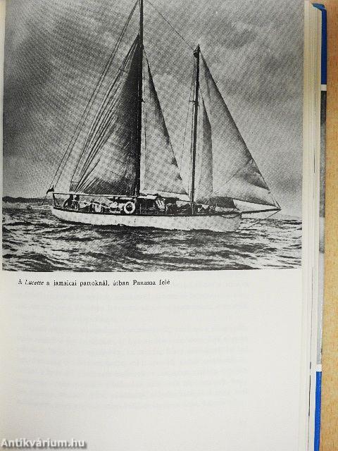 Hajótörött család a vad tengeren