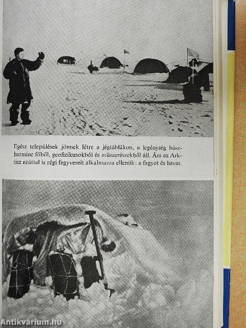 A könyörtelen Északi-sark