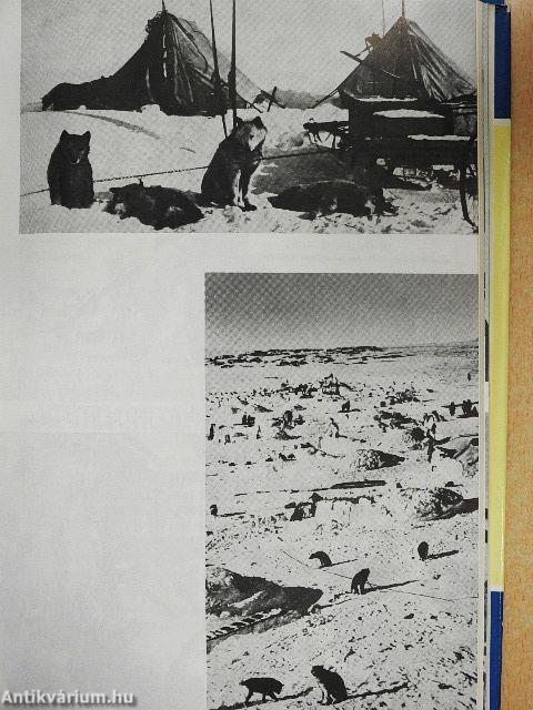 A könyörtelen Északi-sark