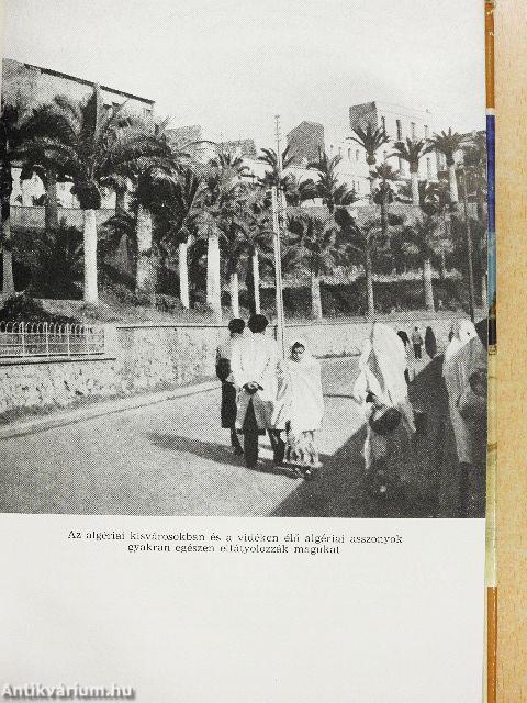 Sivatag és tenger között