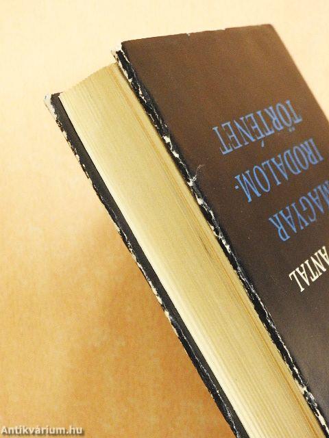 Magyar irodalomtörténet