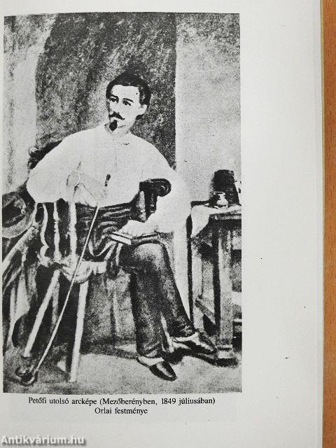 Hogyan halt meg Petőfi?