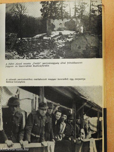 Magyar szabadságharcosok a fasizmus ellen