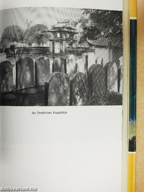 Az arany teknősbéka földjén