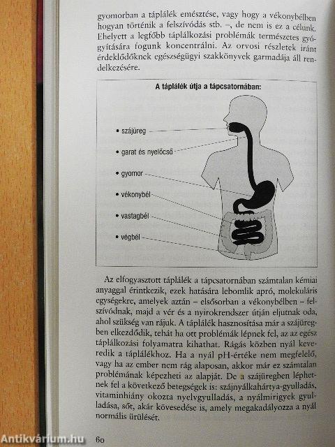 Népbetegségek megelőzése és szelíd gyógymódjai 2.