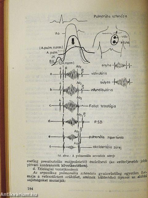 Belgyógyászati problémák az általános orvosi gyakorlatban