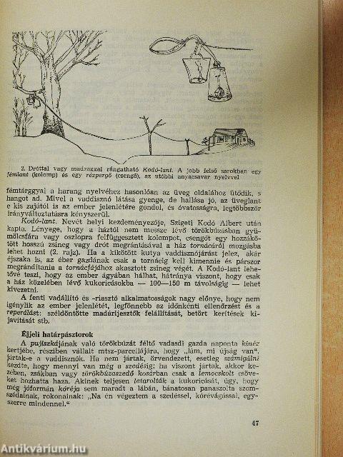 Népismereti dolgozatok 1983