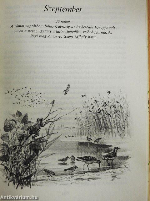 Tarkabarka állatvilág