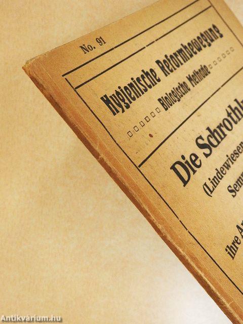 Die Schrothkur ihre Anwendung und Erfolge