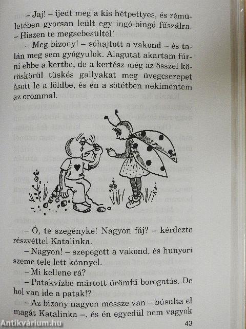 Tündérjárta mesetájon