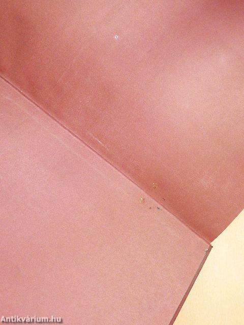 A Bábur-náme miniatúrái