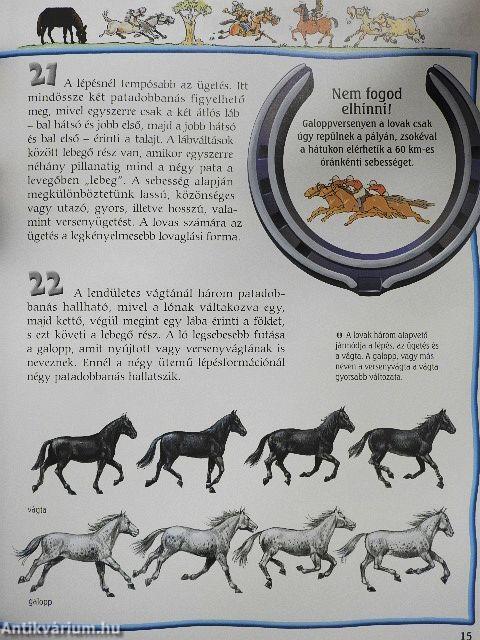 Lovak