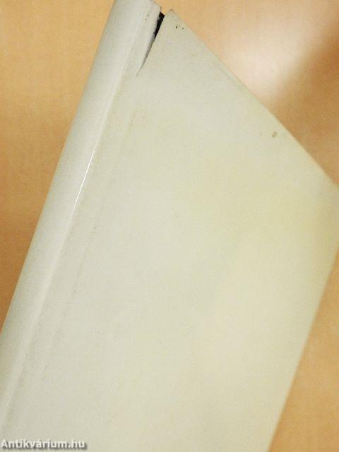 Budapest régi térképeken