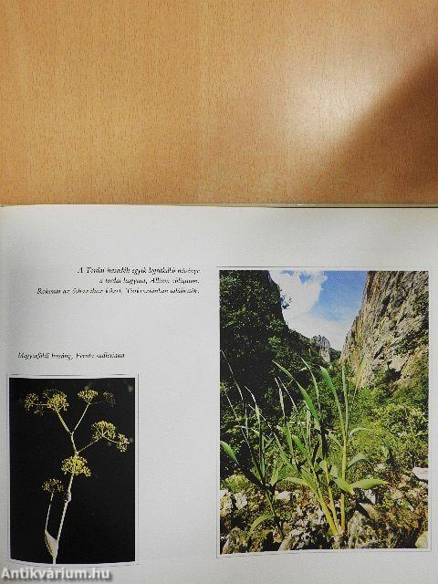 Erdély természeti kincsei