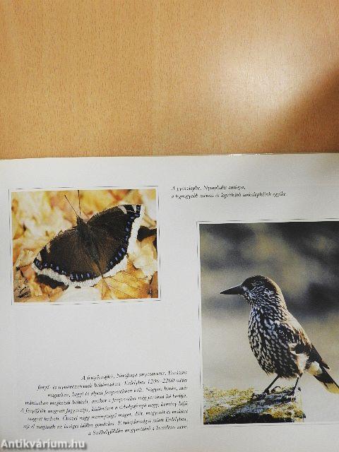 Erdély természeti kincsei