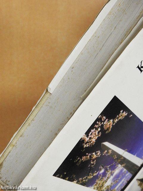 Éveim Amerikában és Angliában