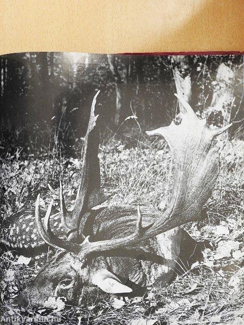 A természet öröknaptára