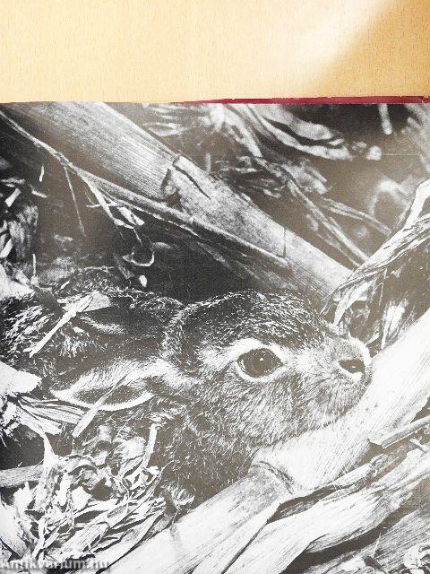 A természet öröknaptára