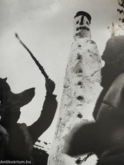 Elindultam világ útján...