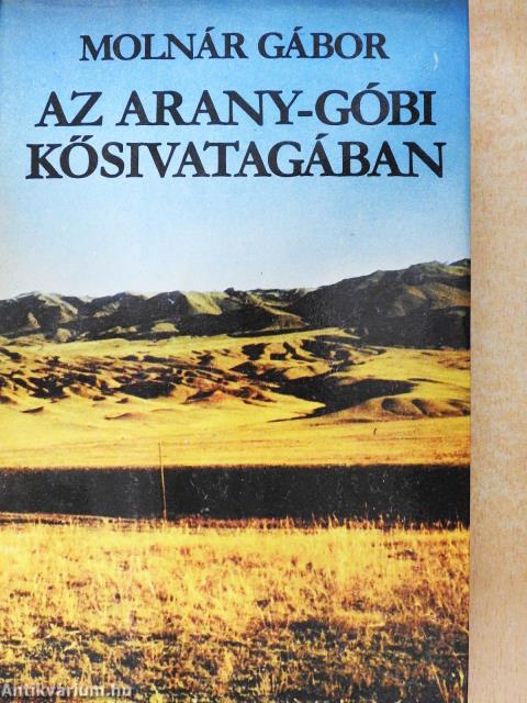 Az Arany-Góbi kősivatagában