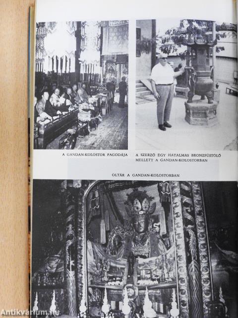 Az Arany-Góbi kősivatagában