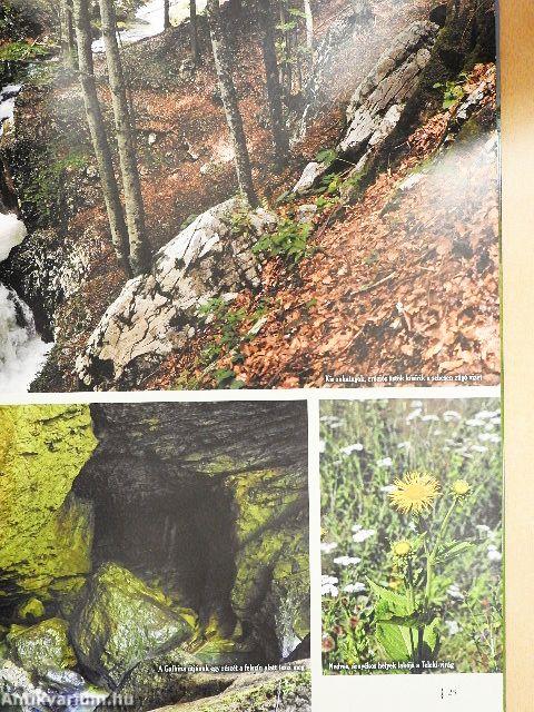 Erdély természeti kincsei