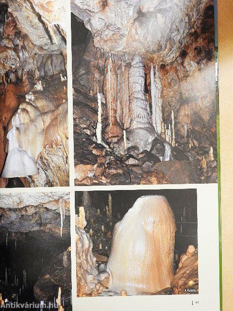 Erdély természeti kincsei