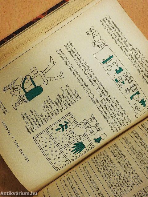 Óvodai nevelés 1969/1970. január-december