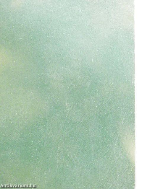 Iskolaszolga 1994. szeptember-október-1995. június