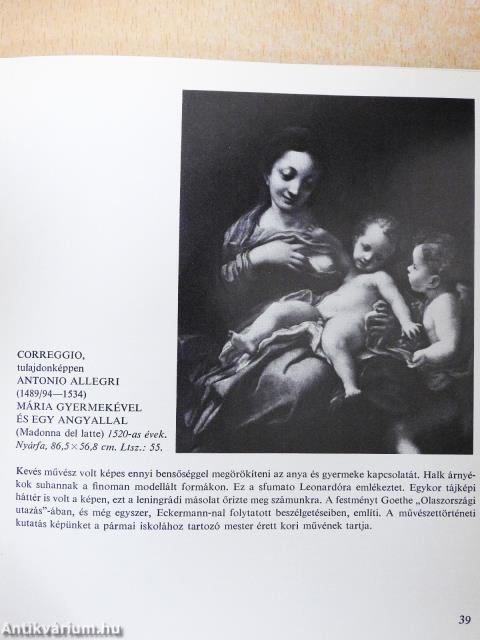 A Szépművészeti Múzeum