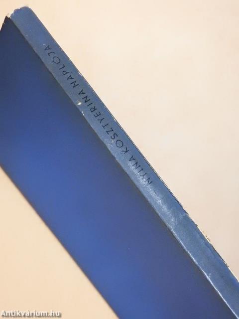 Nyina Kosztyerina naplója