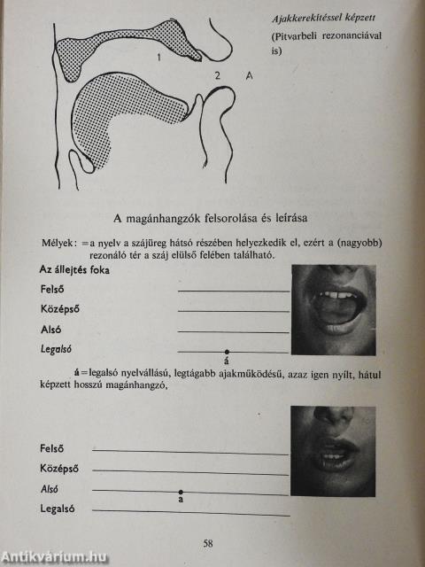 Beszédművelés