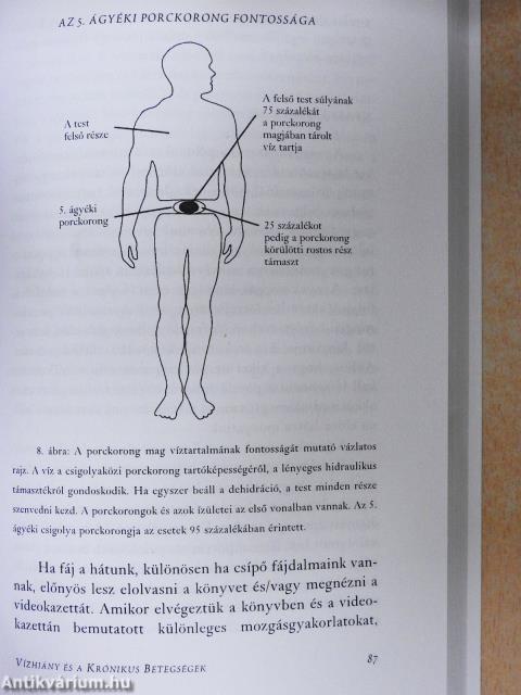A tested vízért kiált!
