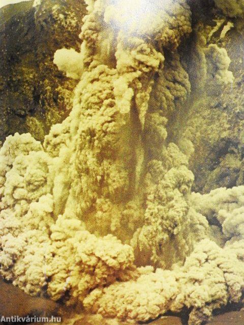 Vingt-cinq ans sur les volcans du Globe