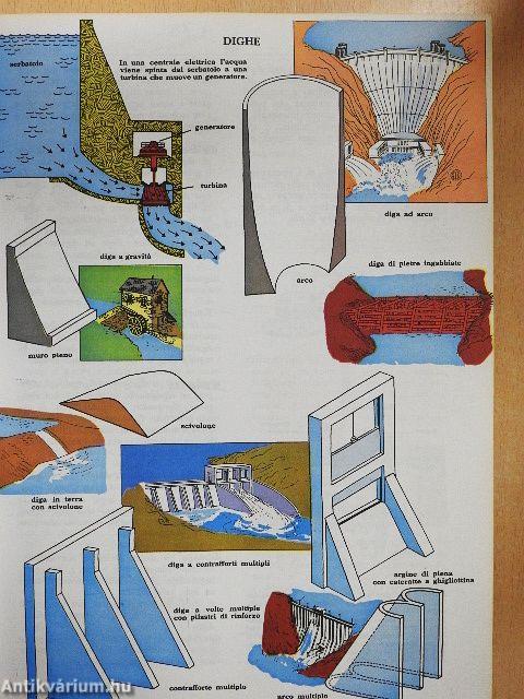 Il mio primo dizionario illustrato