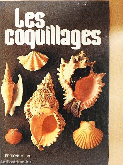 Les coquillages