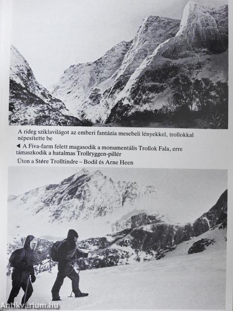 Viharban, fagyban