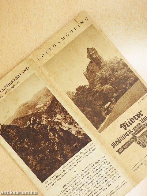 Führer Mödling und Umgebung