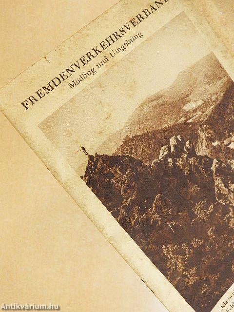 Führer Mödling und Umgebung