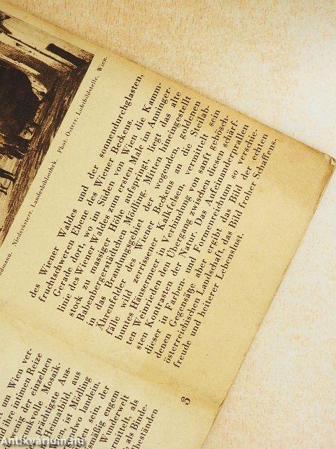 Führer Mödling und Umgebung