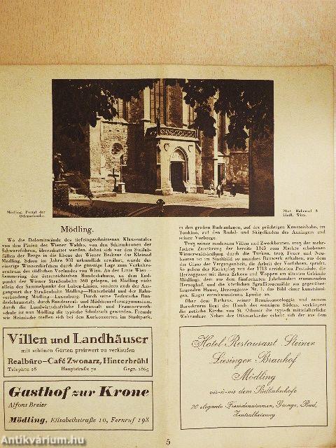 Führer Mödling und Umgebung